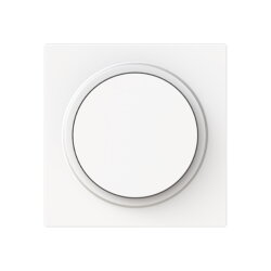 Busch-Jaeger Zentralscheibe 6540-44M-102 Drehdimmer...