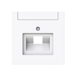 Busch-Jaeger Zentralscheibe 1803-44G 1-f. UAE m....