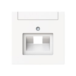 Busch-Jaeger Zentralscheibe 1803-44M 1-f. UAE m....