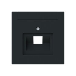 Busch-Jaeger Zentralscheibe 1803-45M 1-f. UAE m....