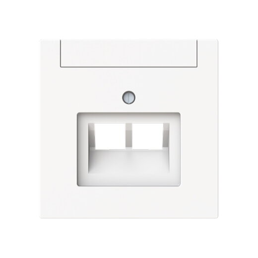 Busch-Jaeger Zentralscheibe 1803-02-44M 2-f. UAE m. Beschriftungsfeld