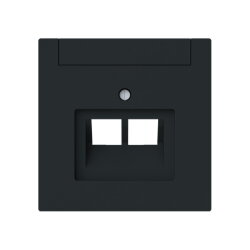 Busch-Jaeger Zentralscheibe 1803-02-45M 2-f. UAE m....