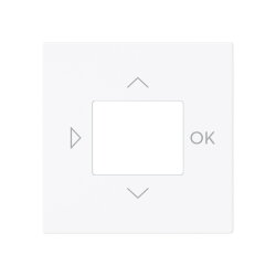 Busch-Jaeger Zentralscheibe 6435-44G f. LCD-Display