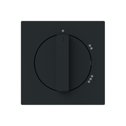 Busch-Jaeger Zentralscheibe 2542 DR/02-45M m. Drehgriff m. Aufdruck