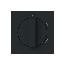 Busch-Jaeger Zentralscheibe 2542 DR/02-45M m. Drehgriff...