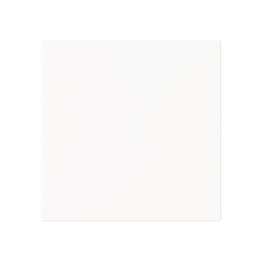 Busch-Jaeger Zentralscheibe 1746-44M m. Klappdeckel