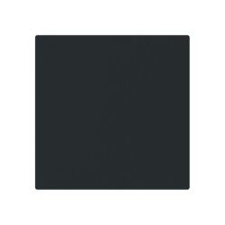 Busch-Jaeger Zentralscheibe 1746-45M m. Klappdeckel