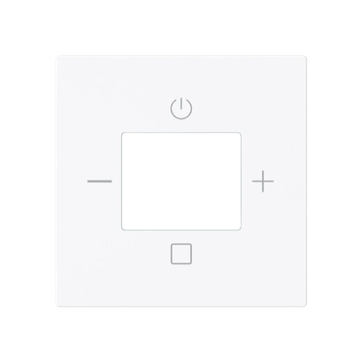 Busch-Jaeger Zentralscheibe 8252-44G-101 Radio