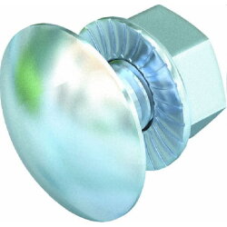 OBO Flachrundschraube FRSB 6X30 F mit Kombimutter