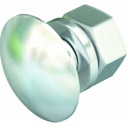 OBO Flachrundschraube FRS 6x20 A4 mit Scheibe und Mutter