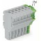 WAGO 1-Leiter-Federleiste Push-in CAGE CLAMP® 4 mm? grau/grün-gelb 2022-107/000-036