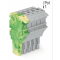 WAGO 1-Leiter-Federleiste Push-in CAGE CLAMP® 4 mm? grün-gelb/grau 2022-105/000-037
