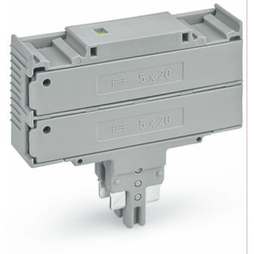 WAGO Doppelsicherungsstecker 230 V 10,4 mm breit grau 2003-911/1000-923
