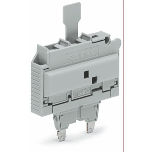 WAGO Sicherungsstecker mit Lasche für G-Sicherungseinsatz ?" x 1?" grau 2006-931/099-000