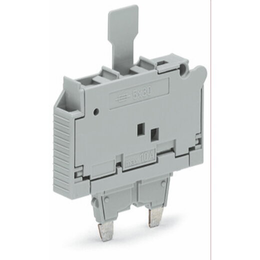 WAGO Sicherungsstecker mit Lasche für G-Sicherungseinsatz 5 x 30 mm grau 2006-921/1000-859