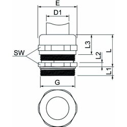 OBO Messing-Kabelverschraubung EMV V-TEC VM32 EMV
