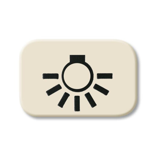 Busch-Jaeger 2525 LI Licht Symbol