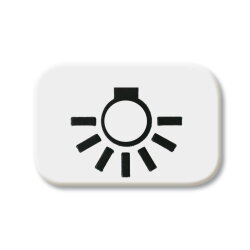 Busch-Jaeger 2525 LI-214 Licht Symbol