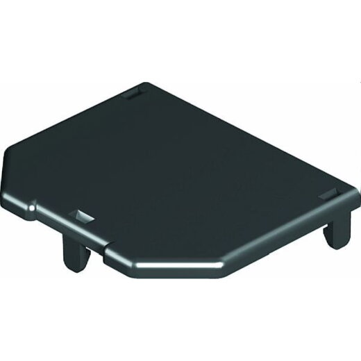 OBO Gb-Abdeckplatte GB2/3P01 (30324A) L=61mm