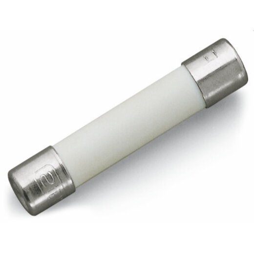 WAGO G-Sicherungseinsatz mit Kennmelder 5 x 25 mm 282-452