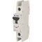 Eaton Electric Leitungsschutzschalter, Automat FAZ-C1,5/1-NA