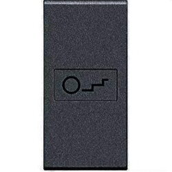 Bticino Wippe L4916B Treppe 1m anthrazit