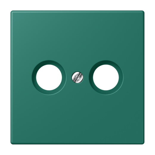 Jung Abdeckung für Antennendosen, Thermoplast lackiert, Serie LS, vert anglais LC990TV216