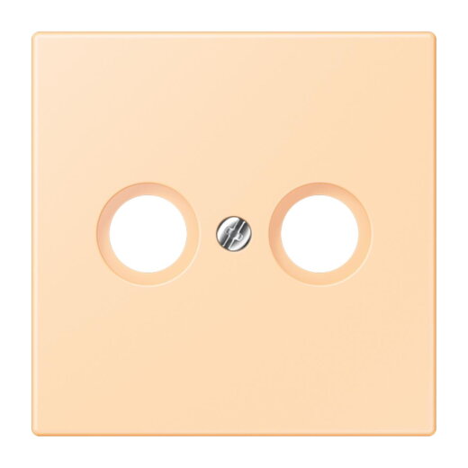 Jung Abdeckung für Antennendosen, Thermoplast lackiert, Serie LS, ocre LC990TV223