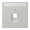 Jung Abdeckung für IAE/UAE-Anschlussdosen 1 x 8-polig, mit Schriftfeld, Thermoplast lackiert, Serie LS, gris clair 31 LC969-1NAUA205