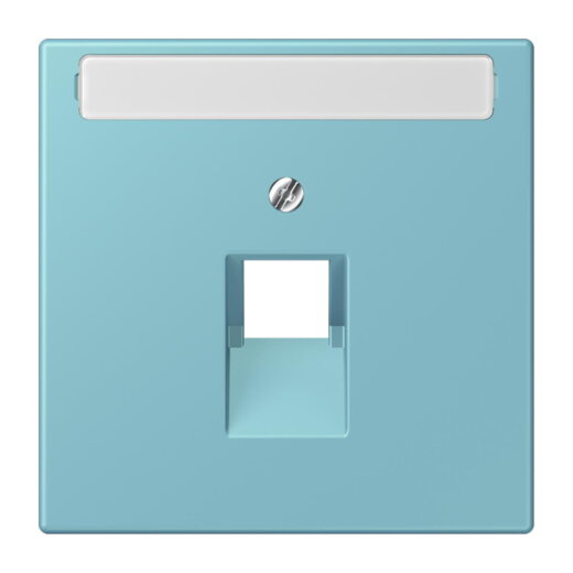 Jung Abdeckung für IAE/UAE-Anschlussdosen 1 x 8-polig, mit Schriftfeld, Thermoplast lackiert, Serie LS, céruléen moyen LC969-1NAUA213