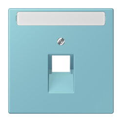 Jung Abdeckung für IAE/UAE-Anschlussdosen...