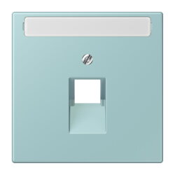 Jung Abdeckung für IAE/UAE-Anschlussdosen...