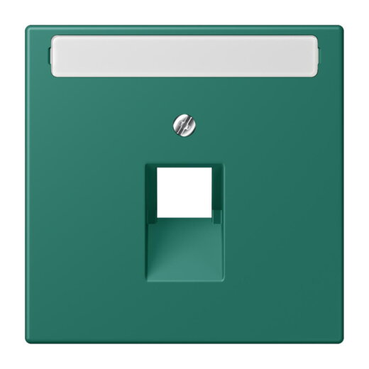 Jung Abdeckung für IAE/UAE-Anschlussdosen 1 x 8-polig, mit Schriftfeld, Thermoplast lackiert, Serie LS, vert anglais LC969-1NAUA216