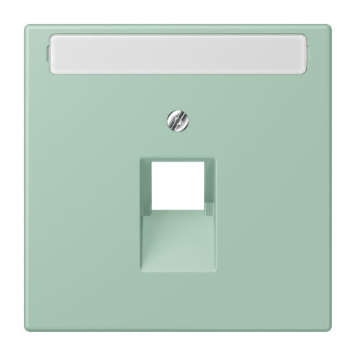 Jung Abdeckung für IAE/UAE-Anschlussdosen 1 x 8-polig, mit Schriftfeld, Thermoplast lackiert, Serie LS, vert anglais clair LC969-1NAUA217