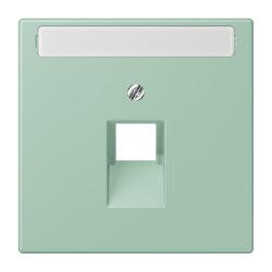 Jung Abdeckung für IAE/UAE-Anschlussdosen...