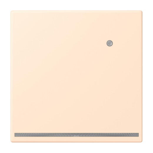 Jung LED-Orientierungslicht mit Helligkeitssensor, Serie LS, terre sienne pâle LC1539-OLNW238