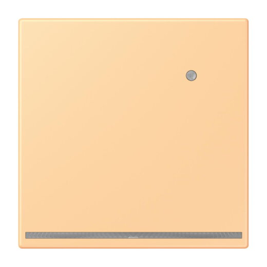 Jung LED-Orientierungslicht mit Helligkeitssensor, Serie LS, terre sienne claire 59 LC1539-OLNW258