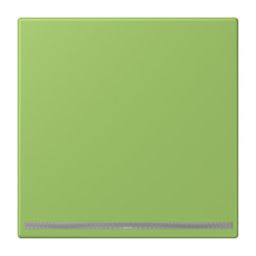 Jung LED-Orientierungslicht, Thermoplast lackiert, Serie LS, vert 31 LC1539-OOLNW220