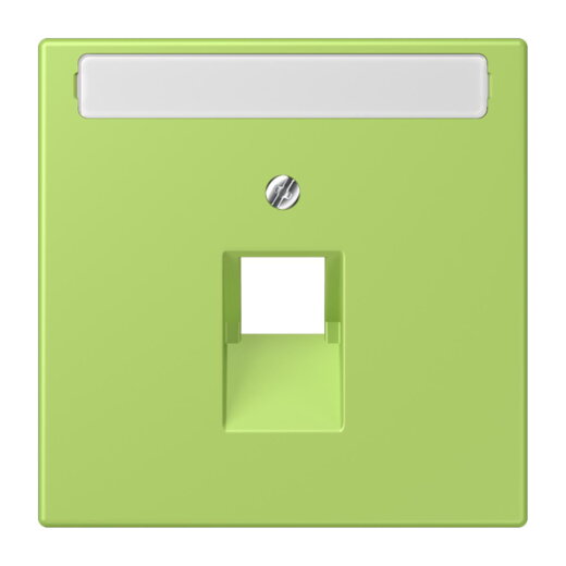 Jung Abdeckung für IAE/UAE-Anschlussdosen 1 x 8-polig, mit Schriftfeld, Thermoplast lackiert, Serie LS, vert clair LC969-1NAUA221