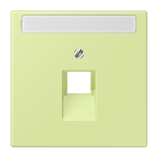 Jung Abdeckung für IAE/UAE-Anschlussdosen 1 x 8-polig, mit Schriftfeld, Thermoplast lackiert, Serie LS, vert jaune clair LC969-1NAUA222