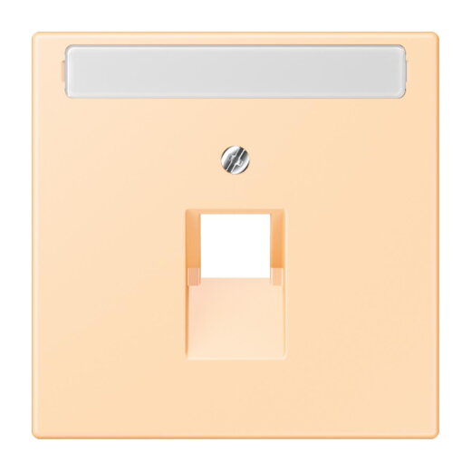 Jung Abdeckung für IAE/UAE-Anschlussdosen 1 x 8-polig, mit Schriftfeld, Thermoplast lackiert, Serie LS, ocre LC969-1NAUA223