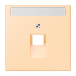 Jung Abdeckung für IAE/UAE-Anschlussdosen...