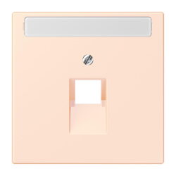 Jung Abdeckung für IAE/UAE-Anschlussdosen...