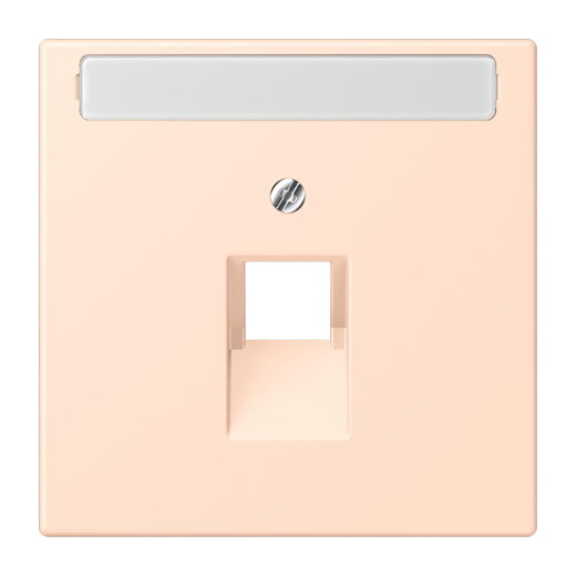 Jung Abdeckung für IAE/UAE-Anschlussdosen 1 x 8-polig, mit Schriftfeld, Thermoplast lackiert, Serie LS, rose pâle LC969-1NAUA228