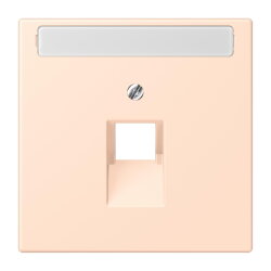 Jung Abdeckung für IAE/UAE-Anschlussdosen...