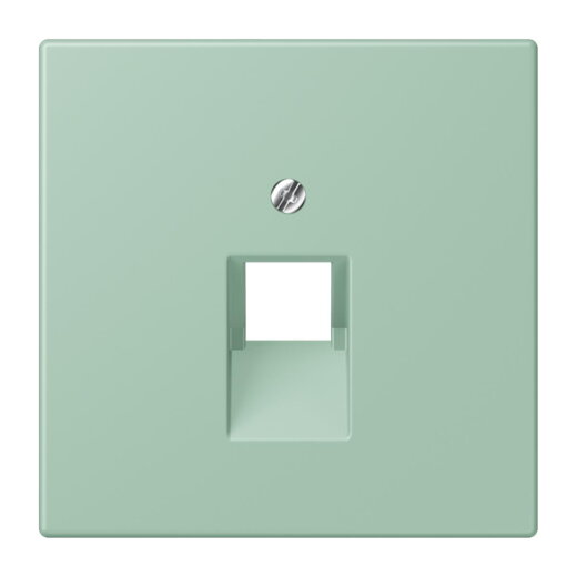 Jung Abdeckung für IAE/UAE-Anschlussdosen 1 x 8-polig, Thermoplast lackiert, Serie LS, vert anglais clair LC969-1UA217