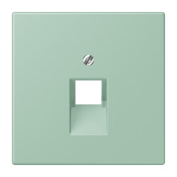 Jung Abdeckung für IAE/UAE-Anschlussdosen...