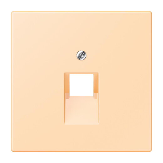 Jung Abdeckung für IAE/UAE-Anschlussdosen 1 x 8-polig, Thermoplast lackiert, Serie LS, ocre LC969-1UA223