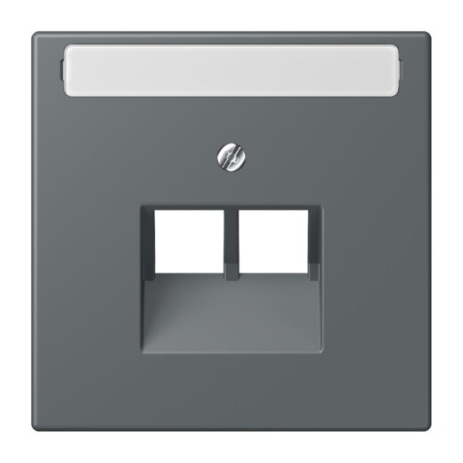 Jung Abdeckung für IAE/UAE-Anschlussdosen 2 x 8-polig, mit Schriftfeld, Thermoplast lackiert, Serie LS, gris foncé 31 LC969-2NAUA202