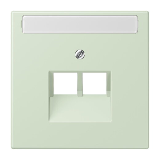 Jung Abdeckung für IAE/UAE-Anschlussdosen 2 x 8-polig, mit Schriftfeld, Thermoplast lackiert, Serie LS, vert anglâis pale LC969-2NAUA218
